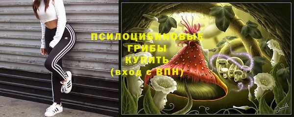 ALPHA-PVP Алексеевка