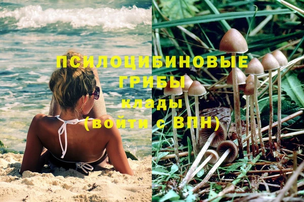 амфетамин Алексин