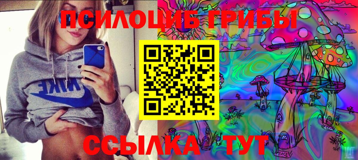 Искитим  Галлюциногенные грибы MAGIC MUSHROOMS  Вход с VPN 