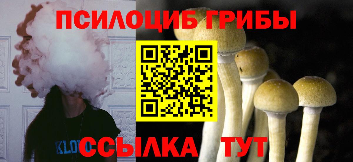 Галлюциногенные грибы прущие грибы Искитим